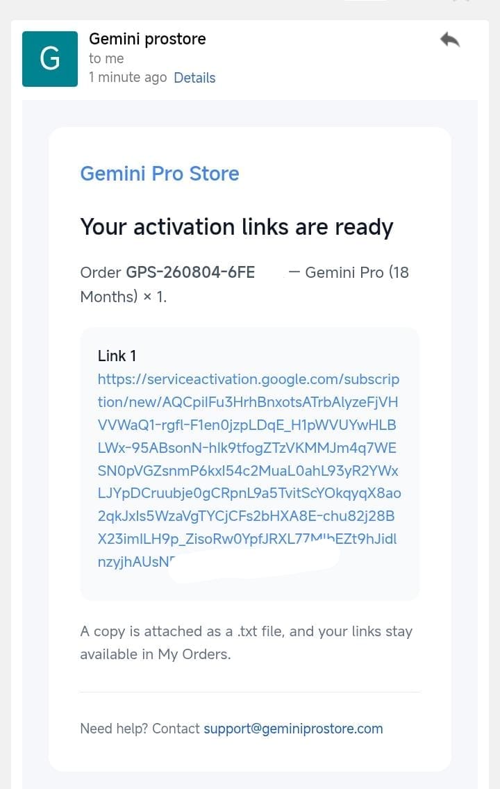 Delivery email from Gemini Pro Store containing the customer's activation link